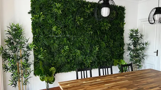 Rooms in Barcelona Sarrià-St. Gervasi - photo 7