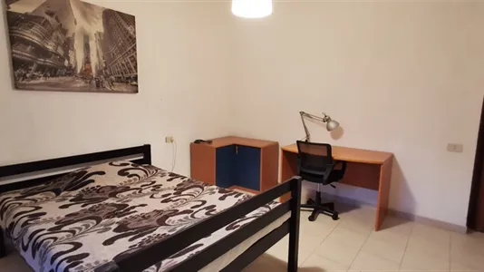 Rooms in Pisa - photo 3