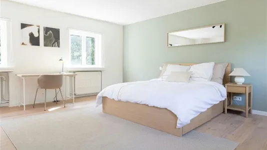 Rooms in Waver - photo 5