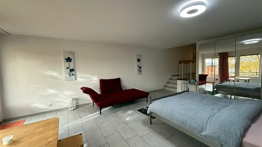 Apartments in Dietikon - photo 4