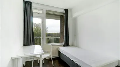 Room for rent in Rotterdam