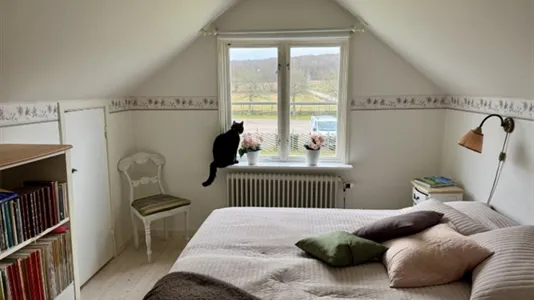 Houses in Båstad - photo 10