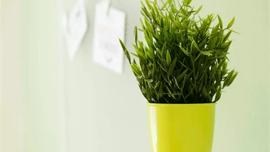 Rooms in Milano Zona 6 - Barona, Lorenteggio - photo 6