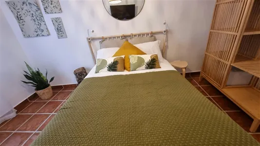 Apartments in Alter do Chão - photo 4