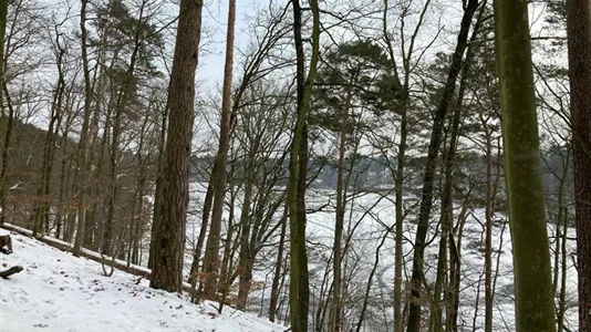 Rooms in Berlin Steglitz-Zehlendorf - photo 7