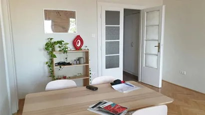 Apartment for rent in Budapest Erzsébetváros, Budapest