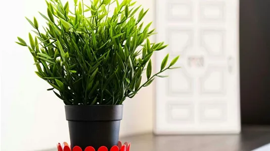 Rooms in Milano Zona 2 - Stazione Centrale, Gorla, Turro, Greco, Crescenzago - photo 7