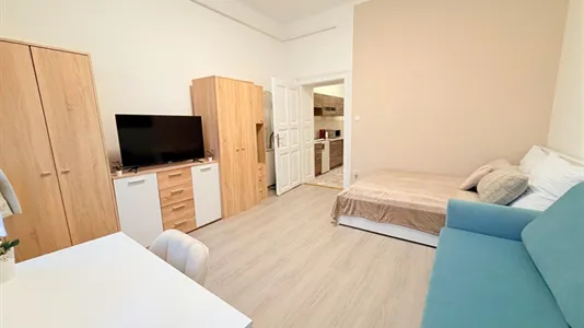 Apartments in Budapest Józsefváros - photo 4