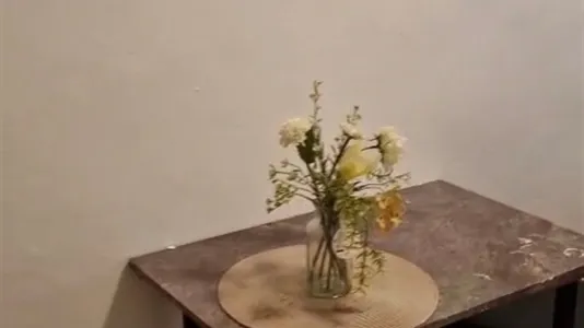 Rooms in Vienna Floridsdorf - photo 4