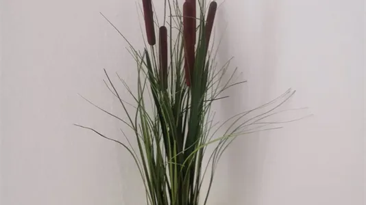 Apartments in Kassel - photo 8