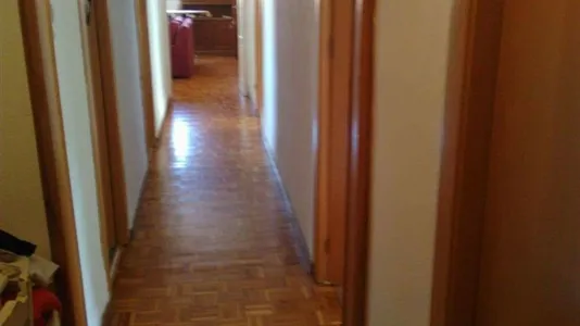 Rooms in Murcia - photo 9