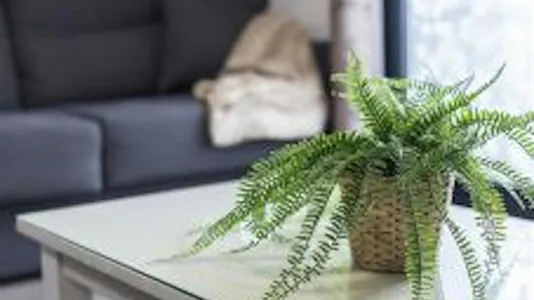 Apartments in El Puerto de Santa María - photo 10