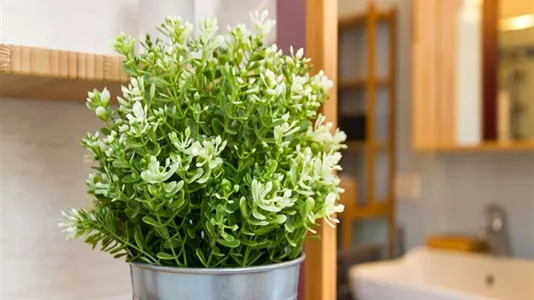 Rooms in Milano Zona 1 - Centro storico - photo 10