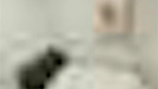 Rooms in Barcelona Eixample - photo 10