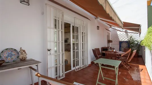 Apartments in Sevilla Casco Antiguo - photo 10