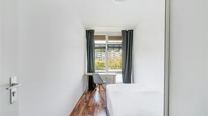Room for rent in Rotterdam