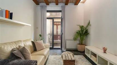 Apartment for rent in Barcelona Ciutat Vella, Barcelona