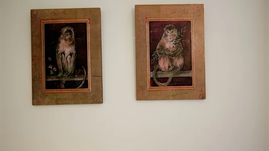 Apartments in Madrid Centro - photo 5