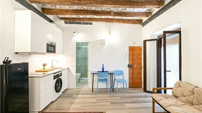 Apartment for rent in Barcelona Ciutat Vella, Barcelona