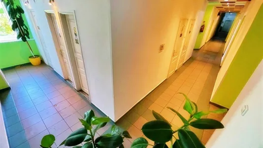 Rooms in Budapest Ferencváros - photo 5