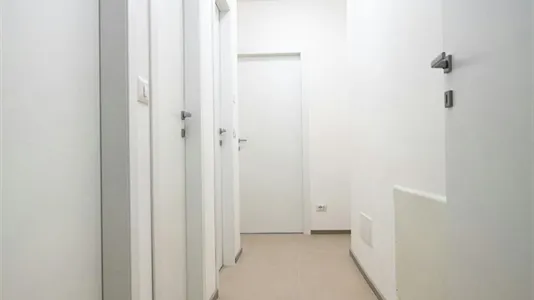 Rooms in Rimini - photo 8