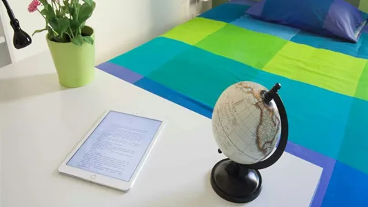 Rooms in Bologna - photo 8