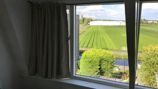 Apartments in Hillegom - photo 5