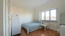 Room for rent, Lisbon (region), Rua Carlos Malheiro Dias