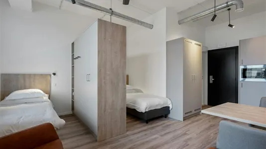 Apartments in Antwerp Deurne - photo 4