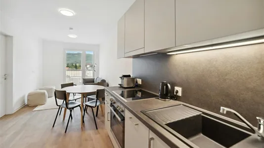 Apartments in Graz - photo 8