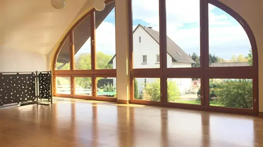 Apartments in Bernkastel-Wittlich - photo 4