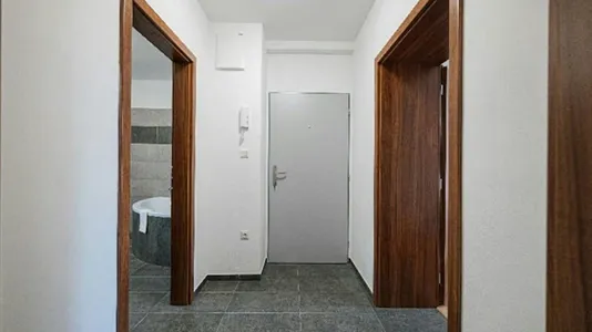 Rooms in Ostrava-město - photo 10