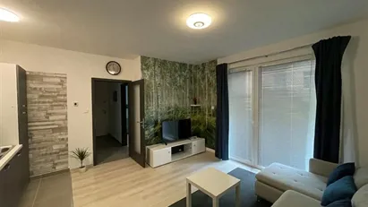 Apartment for rent in Budapest Józsefváros, Budapest