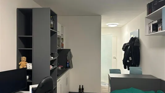 Rooms in Dresden - photo 8