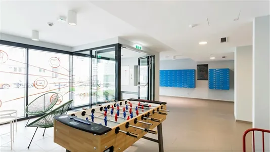 Apartments in Graz - photo 4