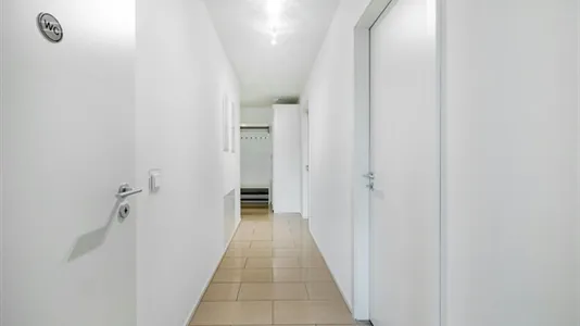 Rooms in Munich Pasing-Obermenzing - photo 7