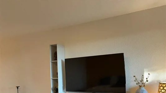 Apartments in Dietikon - photo 3