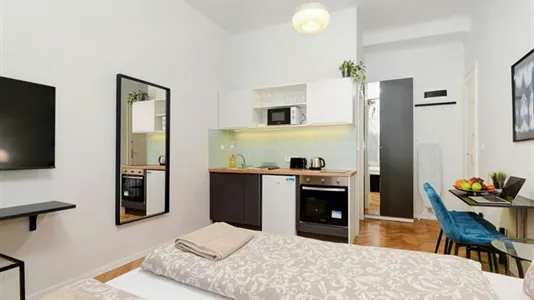 Apartments in Budapest Józsefváros - photo 8