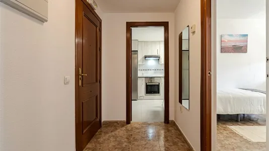 Rooms in Guadalajara - photo 6