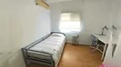 Room for rent, el Camí de Vera, Comunidad Valenciana, Calle Escultor Mora Cirujeda