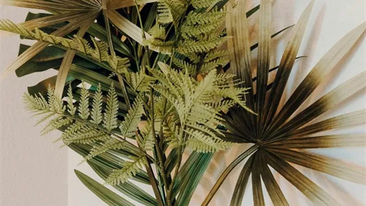 Apartments in Saarlouis - photo 5