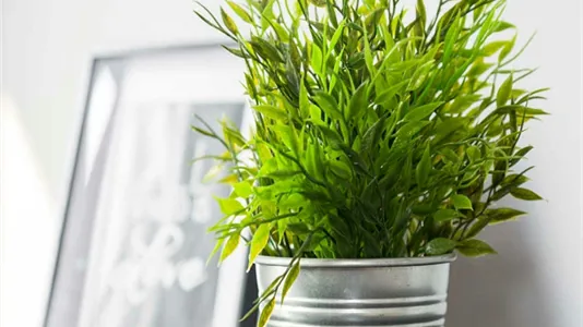 Rooms in Buccinasco - photo 7