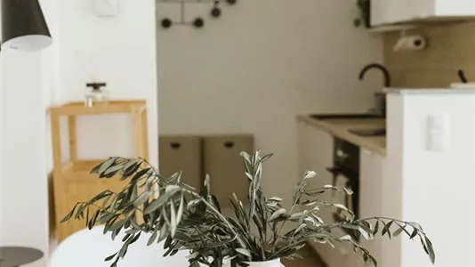 Apartments in Bautzen - photo 7