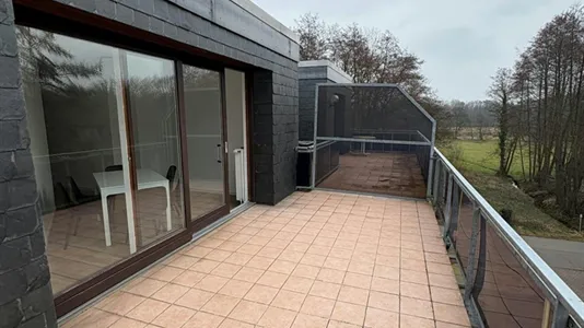 Apartments in Niedersachsen Harburg - photo 5