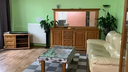 Room for rent in Rotterdam
