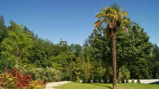 Houses in Pontedeume - photo 2
