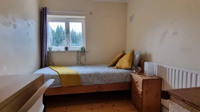 Room for rent in Dublin (county)