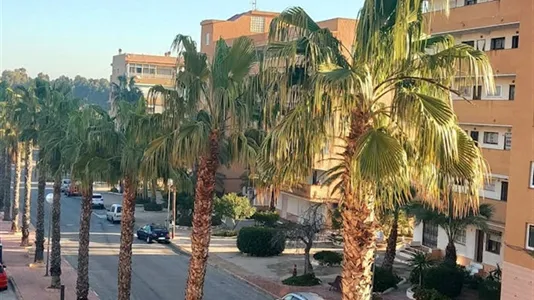 Apartments in Guardamar del Segura - photo 10