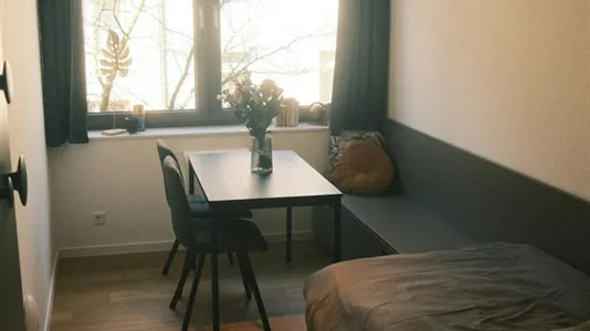 Apartments in Dusseldorf - photo 2