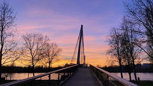 Rooms in Ortenaukreis - photo 4